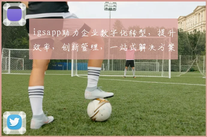 igsapp助力企业数字化转型，提升效率，创新管理，一站式解决方案，助力产业升级，共筑未来