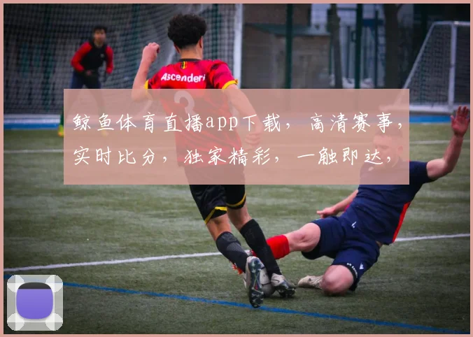 鲸鱼体育直播app下载，高清赛事，实时比分，独家精彩，一触即达，畅享观赛乐趣，快来体验