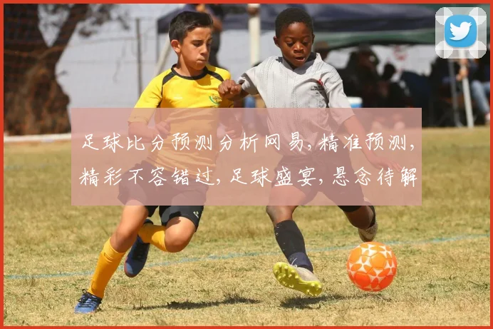 足球比分预测分析网易,精准预测,精彩不容错过,足球盛宴,悬念待解,一触即发。