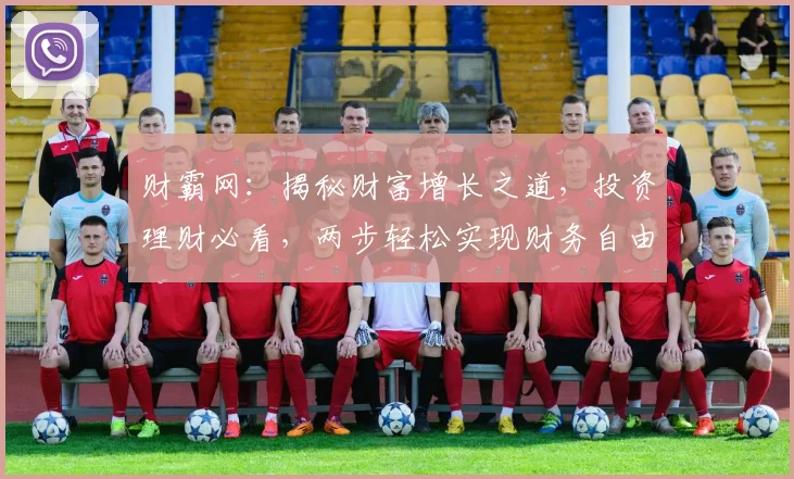 财霸网：揭秘财富增长之道，投资理财必看，两步轻松实现财务自由，不容错过